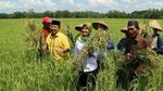 Pose Arinal Djunaidi, Gubernur Baru Lampung yang Sering Kulineran dengan Warga