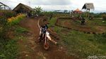 Foto: Kampoeng Sawah yang Instagramable di Ciamis