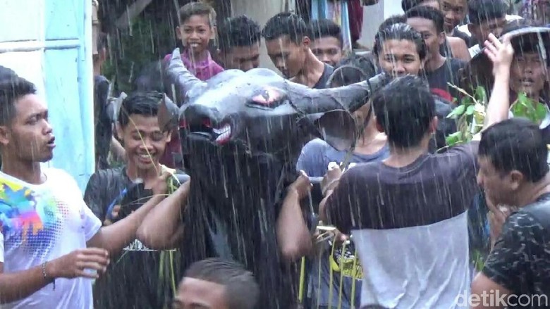 Kemeriahan Tradisi Kebo-keboan Syawal dan Perang Air di Banyuwangi Kemeriahan Tradisi Kebo-keboan Syawal dan Perang Air di Banyuwangi