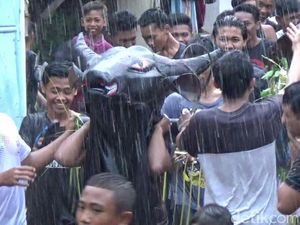 Kemeriahan Tradisi Kebo-keboan Syawal dan Perang Air di Banyuwangi