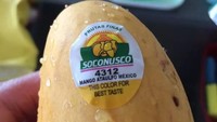 Untuk tahu warna mangga yang sudah matang, perusahaan ini menempelkan stiker khusus. Jadi pembeli nggak repot lagi deh menerka-nerka kematangan mangga. Foto: Istimewa