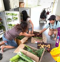 Kisah 'Pahlawan' yang Coba Kurangi Ratusan Ribu Ton Limbah Makanan 