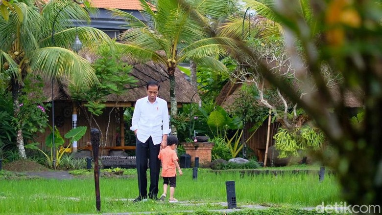 Makan Siang di Ubud, Jokowi Temani Jan Ethes Main di Tepi Sawah Makan Siang di Ubud, Jokowi Temani Jan Ethes Main di Tepi Sawah