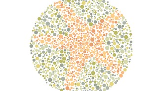 8 Tes Buta Warna, Berhasil Temukan Gambar Hewan Air Tersembunyi?