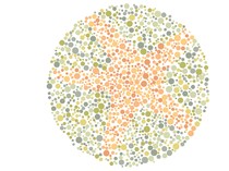 8 Tes Buta Warna, Berhasil Temukan Gambar Hewan Air Tersembunyi?