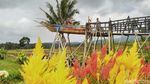 Foto: Kampoeng Sawah yang Instagramable di Ciamis