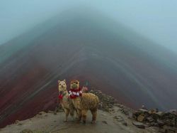 Karya Jawara Kontes Foto NatGeo Travel Bikin Terpana