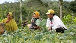Pose Arinal Djunaidi, Gubernur Baru Lampung yang Sering Kulineran dengan Warga