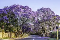  (iStock)