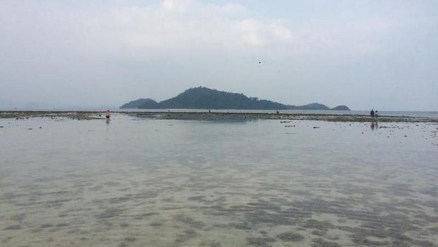 Pantai Sari Ringgung Pantai di Lampung