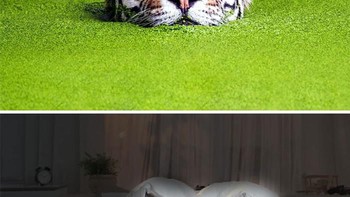 Nonton film horor. Foto: Reddit via Bored Panda