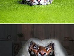 Hasil Editan Photoshop yang Kreatif Tapi Kocak