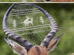 Hasil Editan Photoshop yang Kreatif Tapi Kocak