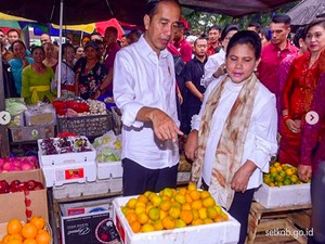 Di Bali Jokowi Asyik Belanja Buah, Makan Begor hingga Jajan Gelato