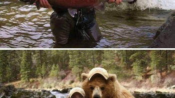 Foto bareng beruang. Foto: Reddit via Bored Panda