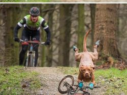 Hasil Editan Photoshop yang Kreatif Tapi Kocak