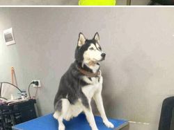 Hasil Editan Photoshop yang Kreatif Tapi Kocak