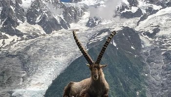Tanduk Sauron. Foto: Reddit via Bored Panda