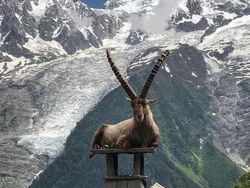 Hasil Editan Photoshop yang Kreatif Tapi Kocak