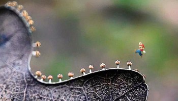 Jadi game Mario Bros. Foto: Reddit via Bored Panda