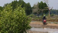 Tak sedikit kecelakaan yang terjadi di kawasan tersebut karena pengendara kurang berhati-hati saat melintasi jalan tersebut.