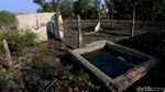 Cerita Satu Dekade Kampung Beting Pasca Abrasi di Ujung Bekasi