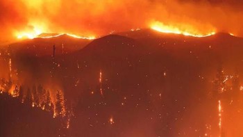Potret kebakaran hebat di hutan California. (Foto: Boredpanda)