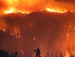 Duel Photoshop Ini Hasilkan Gambar-gambar Kocak!