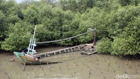 Kondisi memprihatinkan tersebut membuat sejumlah warga akhirnya memilih untuk pindah ke daerah yang lebih aman, meskipun masih ada sejumlah warga lainnya yang tetap tinggal di Kampung Muara Jaya meski ancaman abrasi berada di depan mata.