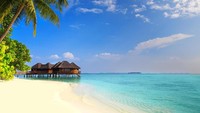 Walau berada di tengah samudera, namun akses menuju ke pulau ini sangatlah mudah. Karena ada beberapa penerbangan langsung menuju ke sini. Yakin kamu tidak mau liburan romantis ke sini? (iStock)