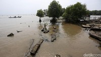 Abrasi menjadi ancaman serius yang membayangi kehidupan masyarakat di wilayah Muara Gembong, Bekasi, selama beberapa tahun belakangan ini.