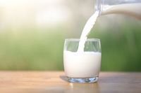 Sehatkah Minum Susu di Pagi Hari Saat Perut Kosong?