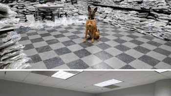 Bagaikan Scooby Doo. (Foto: Boredpanda)