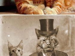 Duel Photoshop Ini Hasilkan Gambar-gambar Kocak!