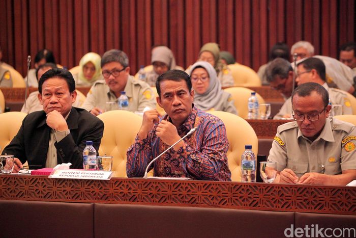 Mentan Amran Sulaiman dan DPR Bahas Anggaran 2020/Foto: Lamhot Aritonang Mentan Amran Sulaiman dan DPR Bahas Anggaran 2020/Foto: Lamhot Aritonang