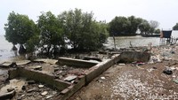 Menurut Camat Muara Gembong, Junaefi, langkah penahanan abrasi dengan menanam pohon bakau tersebut cukup ampuh untuk mengurangi abrasi yang kini mengancam warga di pesisir pantai.