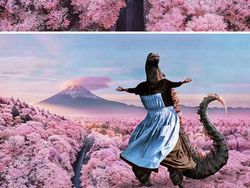 Duel Photoshop Ini Hasilkan Gambar-gambar Kocak!