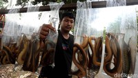 Seorang pedagang menjajakan belut sawah di kawasan Benteng Betawi, Poris, Tangerang, Senin (17/6/2019).