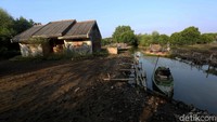 Pada tahun 2005 hingga kini, rumah, ladang tambak mulai tergenang banjir, ikan dan udang sering hilang terbawa pasangnya air laut.