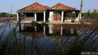 Sejak 10 tahun lalu hingga hari ini puluhan rumah di kampung tersebut rusak dan hancur akibat abrasi yang menerjang wilayah bibir pantai di ujung Bekasi itu.