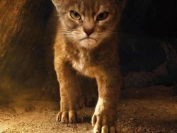 Duel Photoshop Ini Hasilkan Gambar-gambar Kocak!