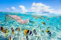 Mengenal Bora-bora, tempat Bulan Madunya Syahrini