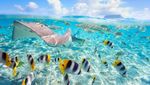 Potret Keindahan Bora-bora, Tempat Honeymoon Syahrini