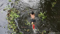Sejumlah anak-anak juga asyik berenang di tengah aktivitas pembersihan ecang gondok.