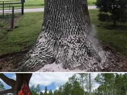 Duel Photoshop Ini Hasilkan Gambar-gambar Kocak!