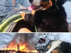 Duel Photoshop Ini Hasilkan Gambar-gambar Kocak!