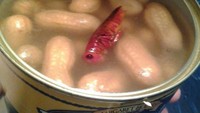 Beli produk kacang rebus kalengan, yang di dapat malah bonus bangkai serangga yang ada di dalam kaleng. Hii..! Foto: Istimewa