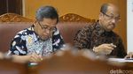 Hakim Kabulkan Pencabutan Praperadilan Sofyan Basir