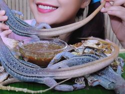 Bernyali Besar! Wanita Cantik Ini Berani Makan Iguana