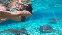 Tak afdal bila ke sini tidak berenang dan snorkling. (iStock)